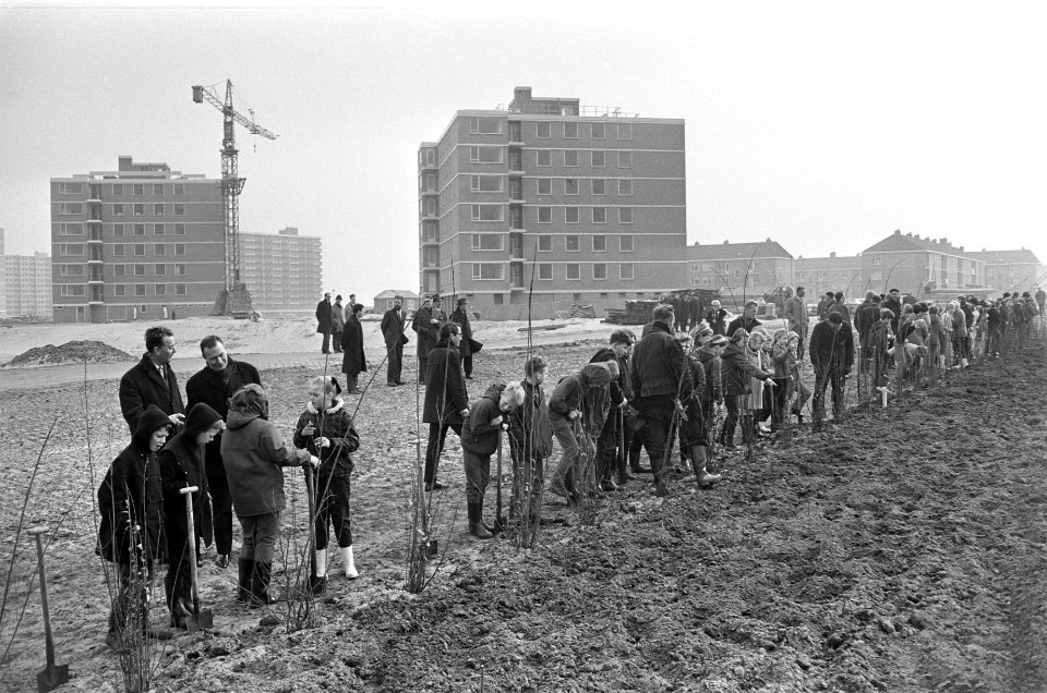 Boomplantdag door leerlingen van scholen in Amsterdam-Noord aan de Ilperveldstra, Bestanddeelnr 920-1777