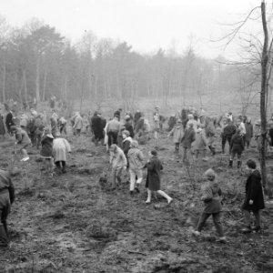 Boomplantdag voor 600 kinderen bij Bilthoven, Bestanddeelnr 913-7252