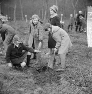 Boomplantdag voor 600 kinderen bij Bilthoven, Bestanddeelnr 913-7249