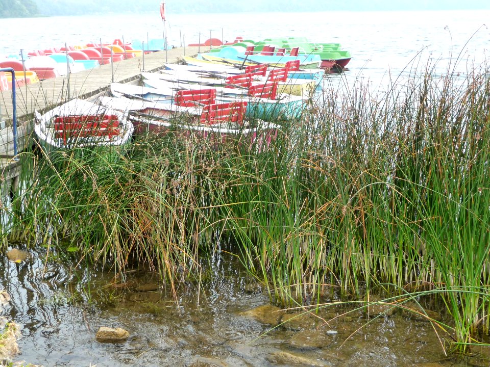 Boote am Laacher See