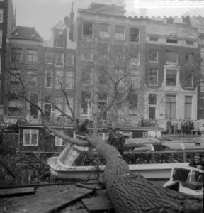 Boom op rondvaartboot gevallen, Bestanddeelnr 910-7936