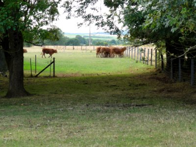 Boismont (Meurthe-et-M.) paysage
