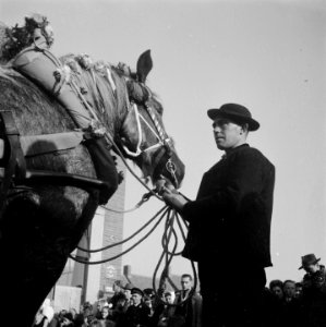 Boomplantdag te Westkapelle, Bestanddeelnr 903-1102
