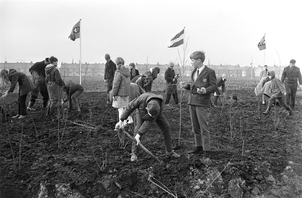 Boomplantdag door leerlingen van scholen in Amsterdam-Noord aan de Ilperveldstra, Bestanddeelnr 920-1776