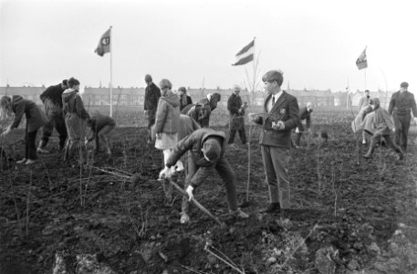 Boomplantdag door leerlingen van scholen in Amsterdam-Noord aan de Ilperveldstra, Bestanddeelnr 920-1776