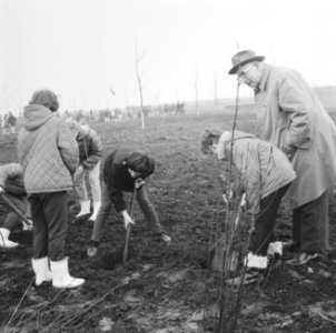 Boomplantdag op hoek Pieter Callandlaan , wethouder Tabak helpt twee kinderen me, Bestanddeelnr 917-6199