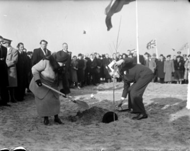 Boomplantdag te Westkapelle, Bestanddeelnr 903-1091