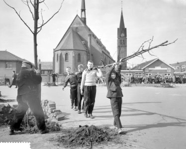 Boomplantdag in Haarlem, platen op het Teijlerplein, Bestanddeelnr 911-1531