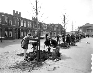 Boomplantdag in Haarlem, platen op het Teijlerplein, Bestanddeelnr 911-1533