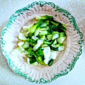 Bok choy - Massachusetts photo