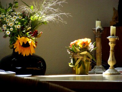Sunlight morning greeting poetry