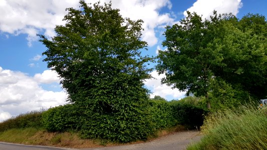 Bommerig-wegkruis Bommerigerweg-Weyerweg (4)