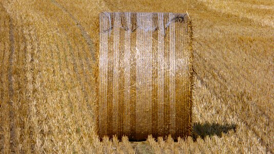 Field round bales rural