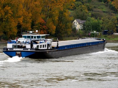 Bornrif, ENI 02321276 on the Rhine river the Loreley