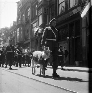 Bok van de Prins Bernhard Kapel, Bestanddeelnr 901-7387
