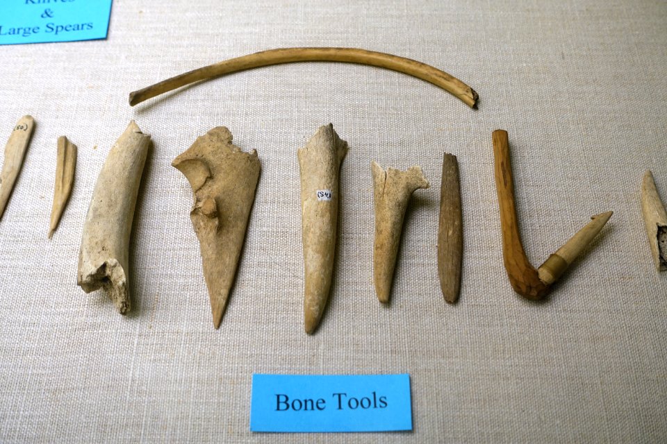 Bone tools - Plymouth Area Artifacts (W. W. Whiting Collection) - Robbins Museum - Middleborough, Massachusetts - DSC03858