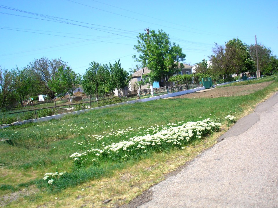 Borodino (Crimea) 8