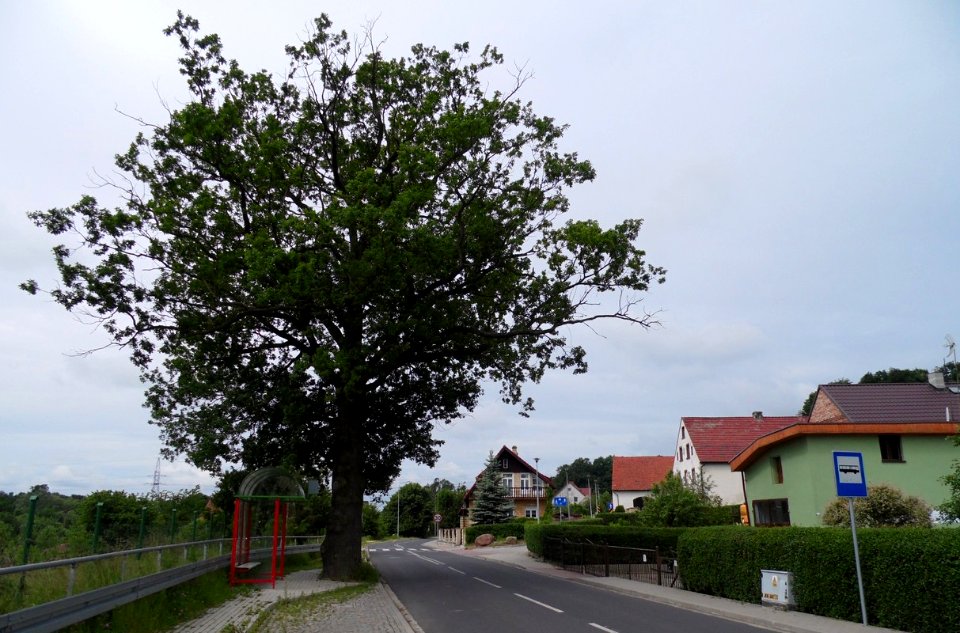 BOLESŁAWIEC, AB. 086