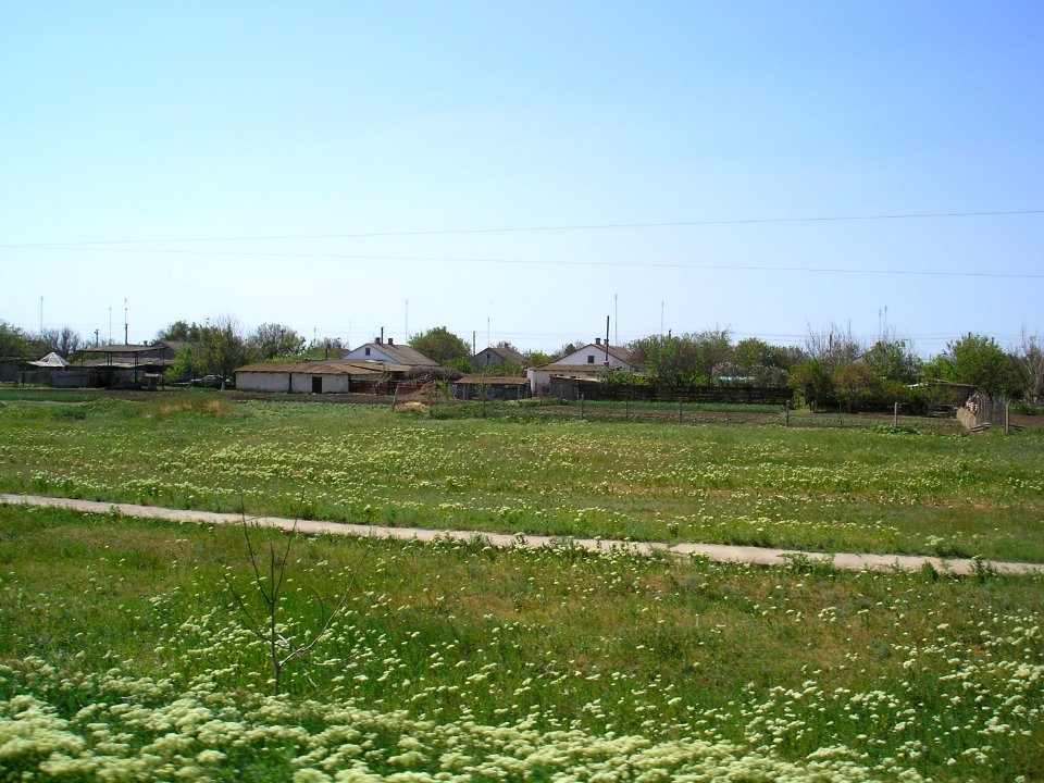 Borodino (Crimea) 1