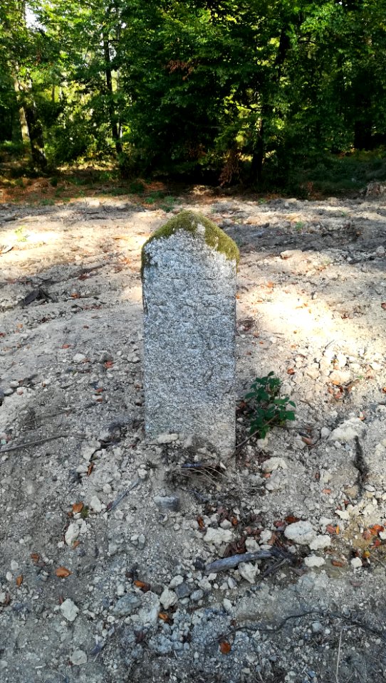 Borne de la forêt d'Ecouves - Radon - 3