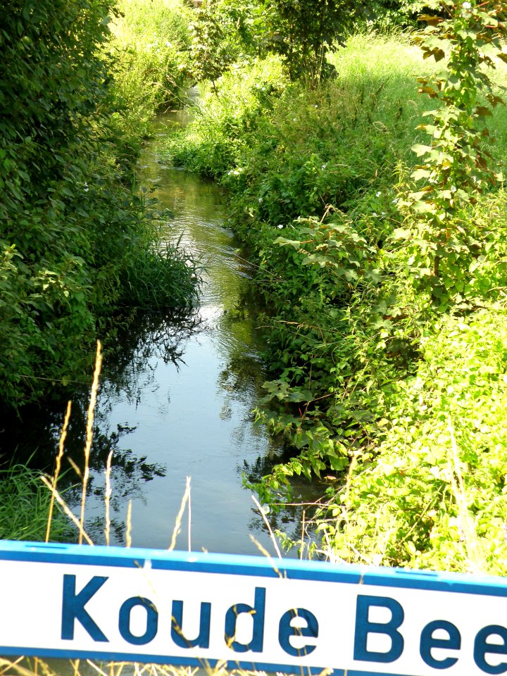 Borsbeek Koude Beek 2