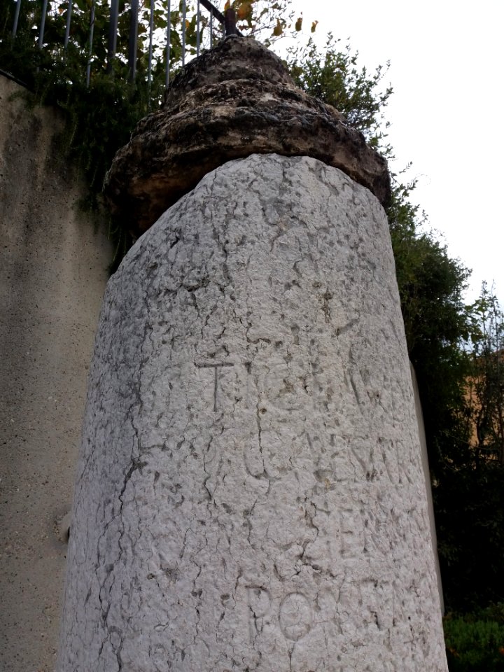 Borne milliaire de Solaize - Détail inscriptions 3