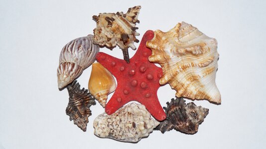 Maritime deco vacations