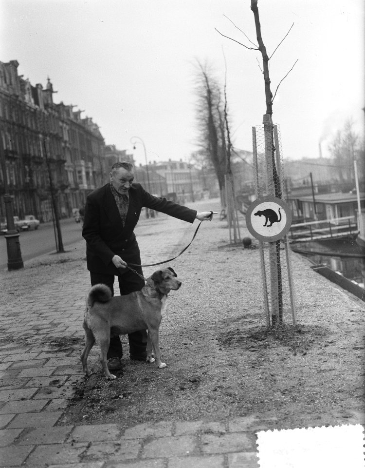 Bordje aan Singelgrachten voor honden verboden, Bestanddeelnr 906-8909