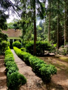 Bornia driebergen - 1