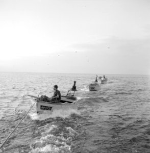 Bootjes voor de sardinevangst en een visser worden na de nachtelijke visvangst i, Bestanddeelnr 255-2891 photo
