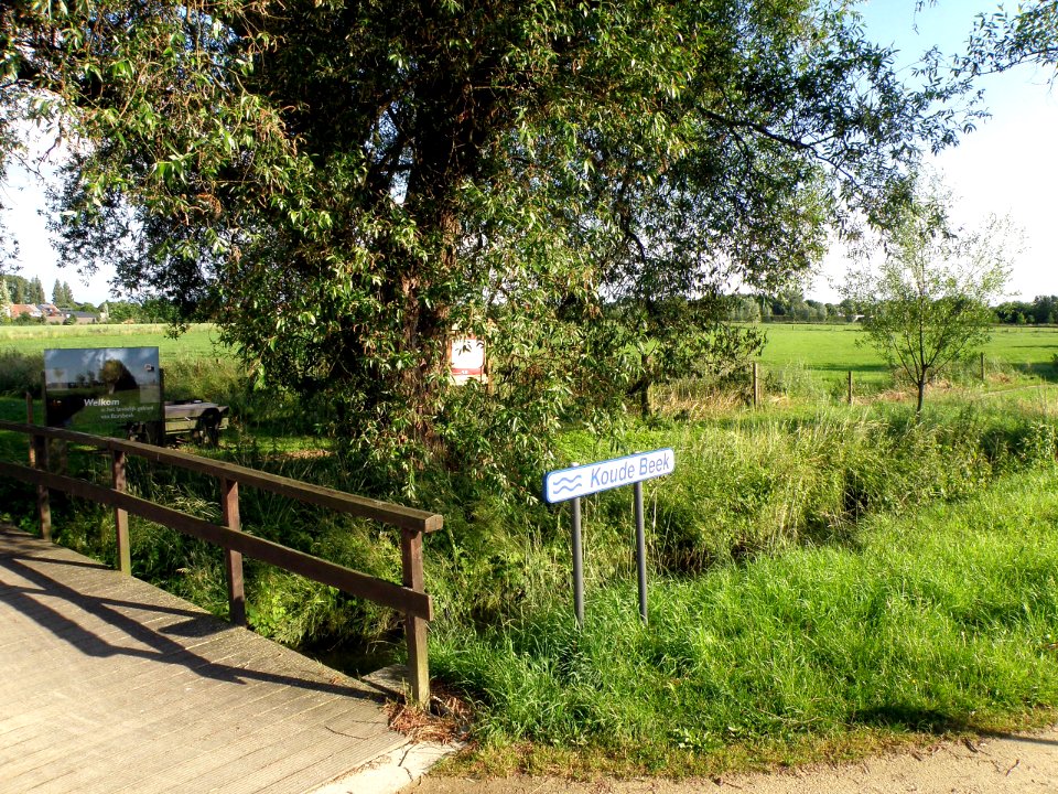 Borsbeek Koude Beek 1