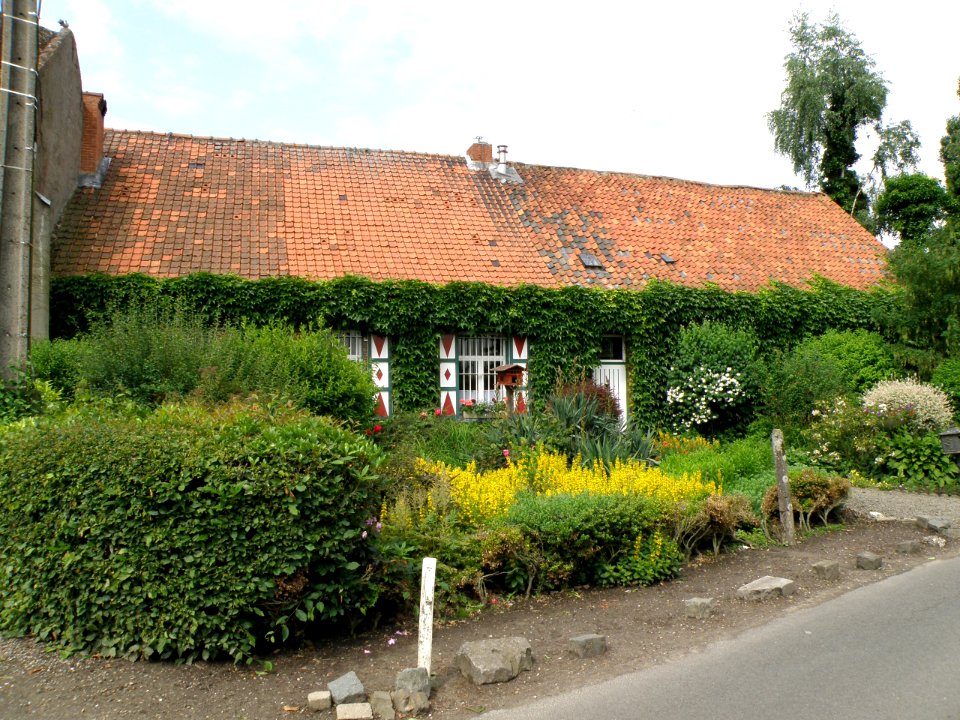 Borsbeek Hoeve Langbaan 3