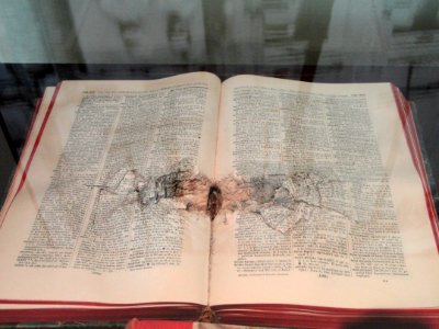 Book damaged in bombing - Arppeanum - DSC05178