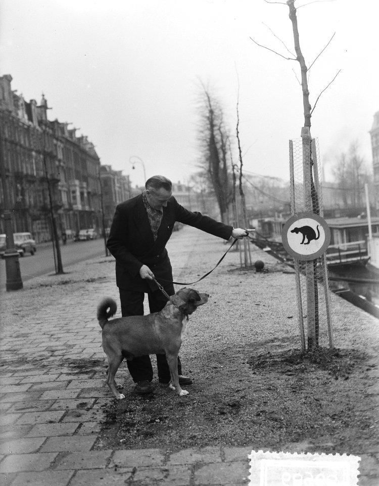 Bordje aan Singelgrachten voor honden verboden, Bestanddeelnr 906-8908
