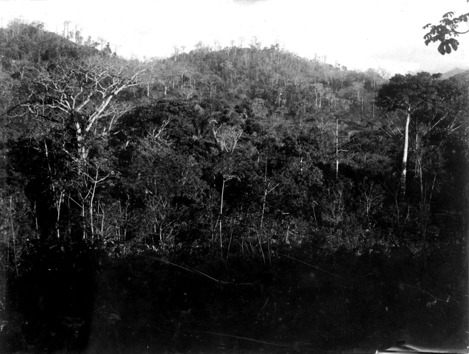 Boplatsbild samt floddal och floden omedelbart nedanför boplats. Pacifiksidan. Garachiné. Panama - SMVK - 003428d