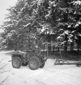Bossen, arbeiders, sneeuw, landbouwmachines, werktuigen, boomstammen, wegslepen, Bestanddeelnr 253-4958