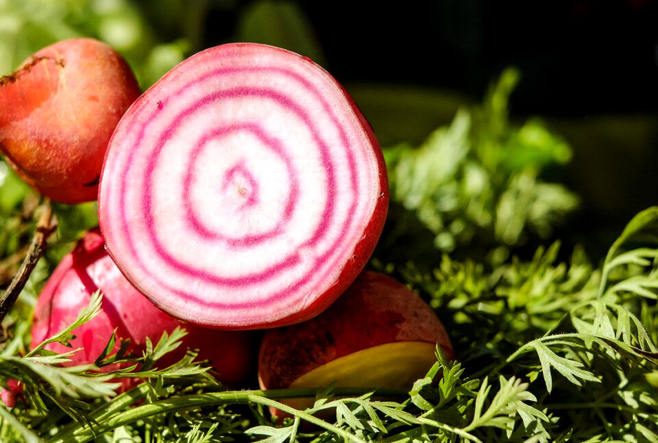 Vegetables rättich of rahner