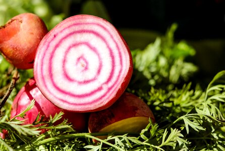 Vegetables rättich of rahner