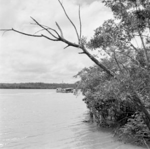 Boot (pont) op een rivier, Bestanddeelnr 252-2619