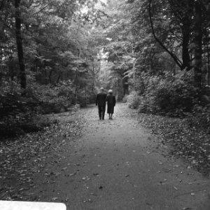 Bossen, herfst, Bestanddeelnr 919-6345