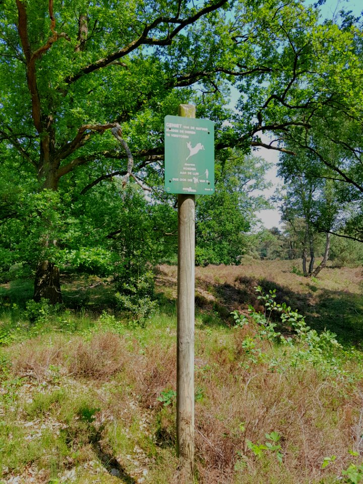 Bord willem arntszbos
