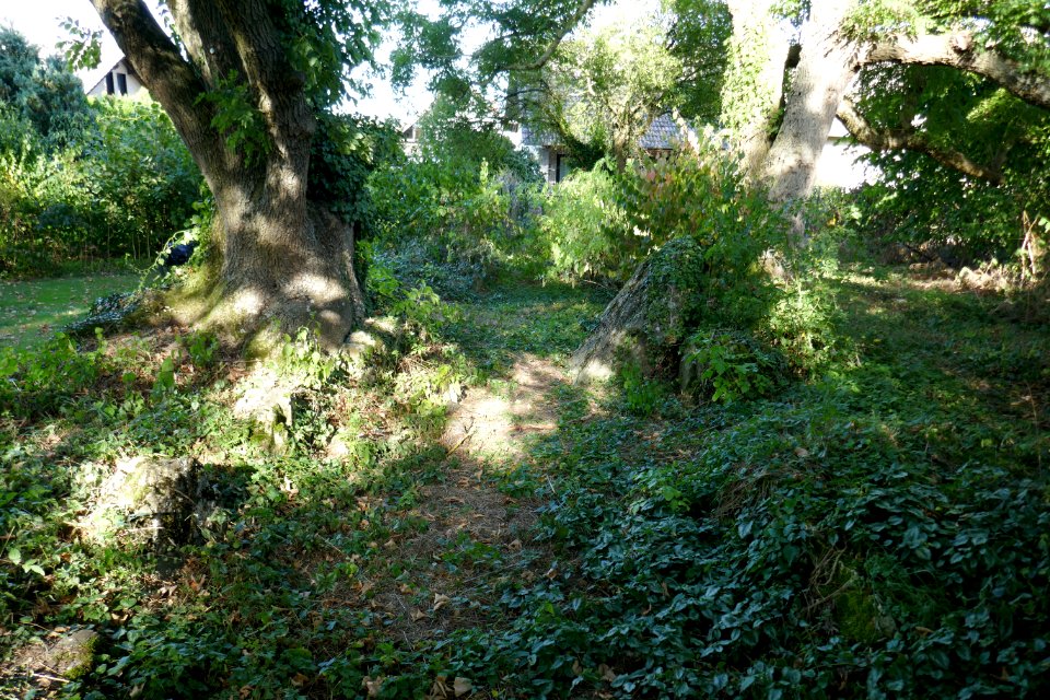 Borchen - Steinkistengrab - 1