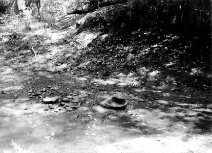 Boplatsbild samt floddal och floden omedelbart nedanför boplats. Pacifiksidan. Garachiné. Panama - SMVK - 003428b