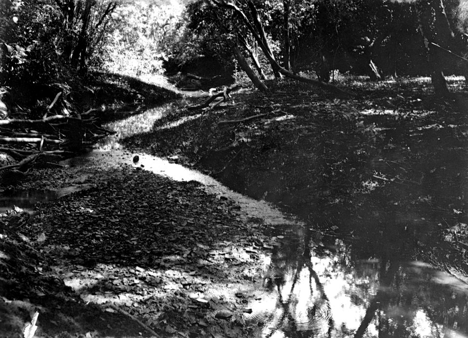 Boplatsbild samt floddal och floden omedelbart nedanför boplats. Pacifiksidan. Garachiné. Panama - SMVK - 003428