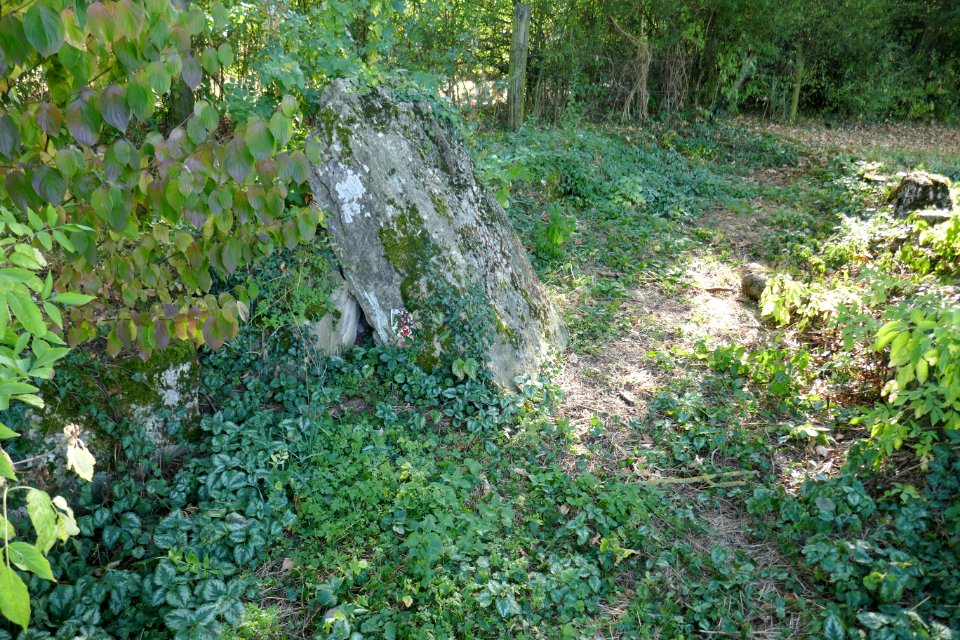 Borchen - Steinkistengrab - 2