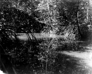 Boplatsbild samt floddal och floden omedelbart nedanför boplats. Pacifiksidan. Garachiné. Panama - SMVK - 003428c