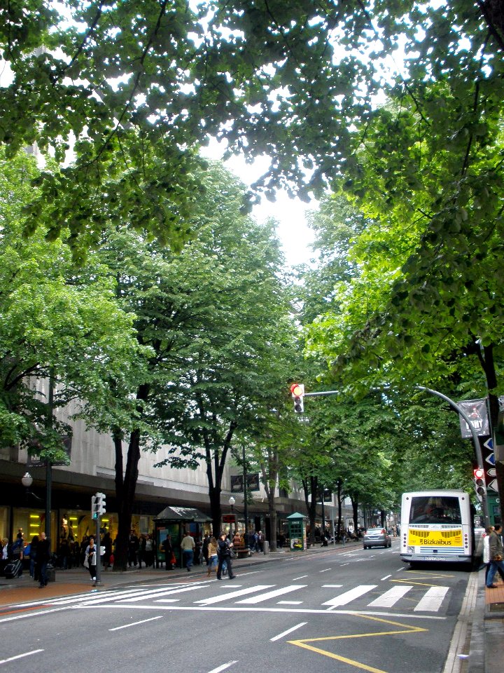 Bilbao - Gran Via 4