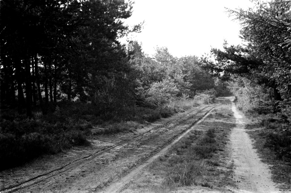 Bossen, wegen, rijwielpaden, Bestanddeelnr 170-0067