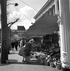 Bloemenstalletjes aan de voet van de Madeleine, Bestanddeelnr 254-0513