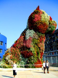 Bilbao - Guggenheim 39